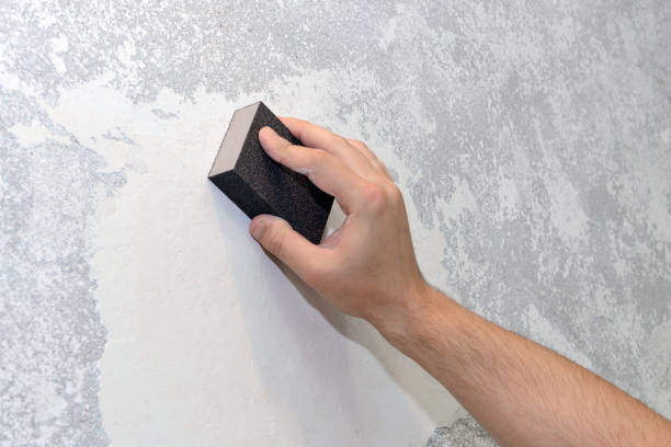 Best Biohazard Mold Removal  in Ellsworth, WI