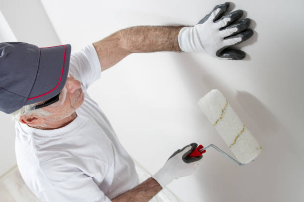 Best Industrial Mold Remediation  in Ellsworth, WI