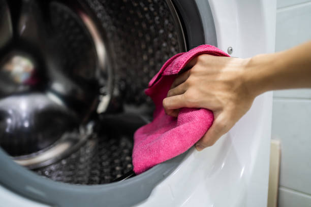 Reliable Ellsworth, WI Mold Removal Solutions