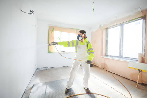Mold Odor Removal Services in Ellsworth, WI